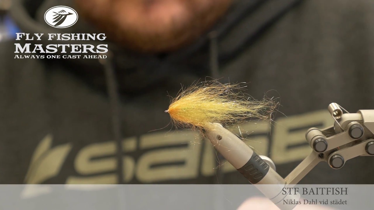 STF Baitish