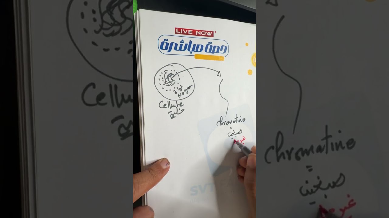 الخبر الوراثي l'information génétique ✨ Part1 ✨ bac 2026