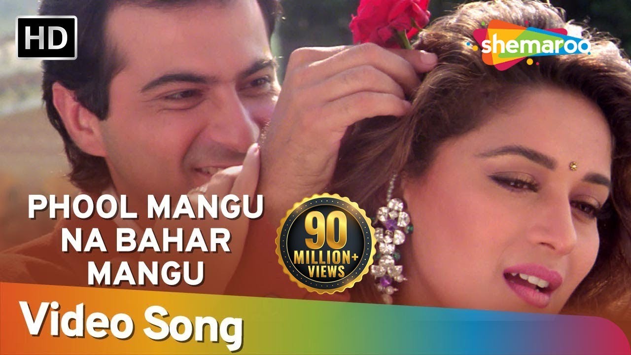 Phool Mangoo Naa Bahaar | Raja Songs | Madhuri Dixit | Sanjay Kapoor | Udit Narayan | Alka Yagnik