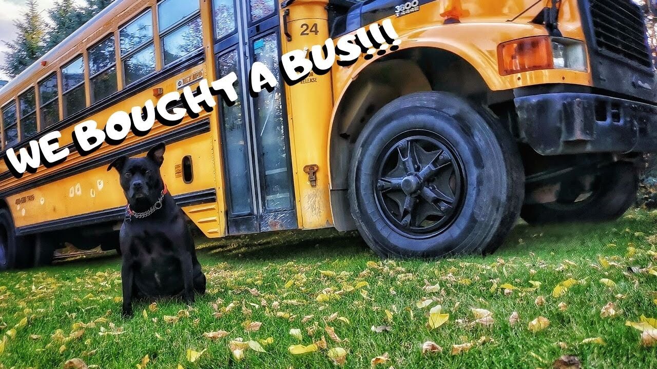 We Bought a Bus!!!! TINY HOME BUS CONVERSION EP.1