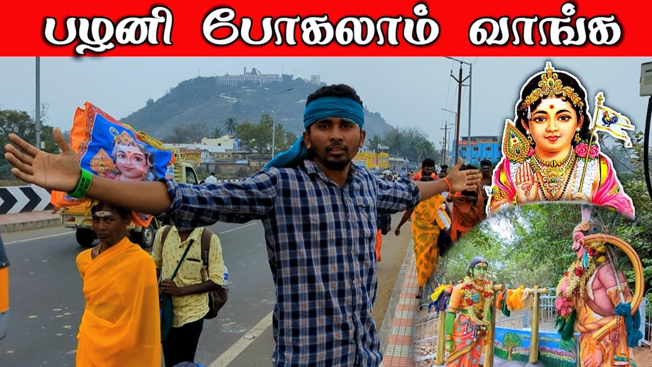 Palani Murugan Temple🤩🦚 | Festival Time | Thai pusam palani vlog 2023 | #kesu_paiya #palani #பழனி