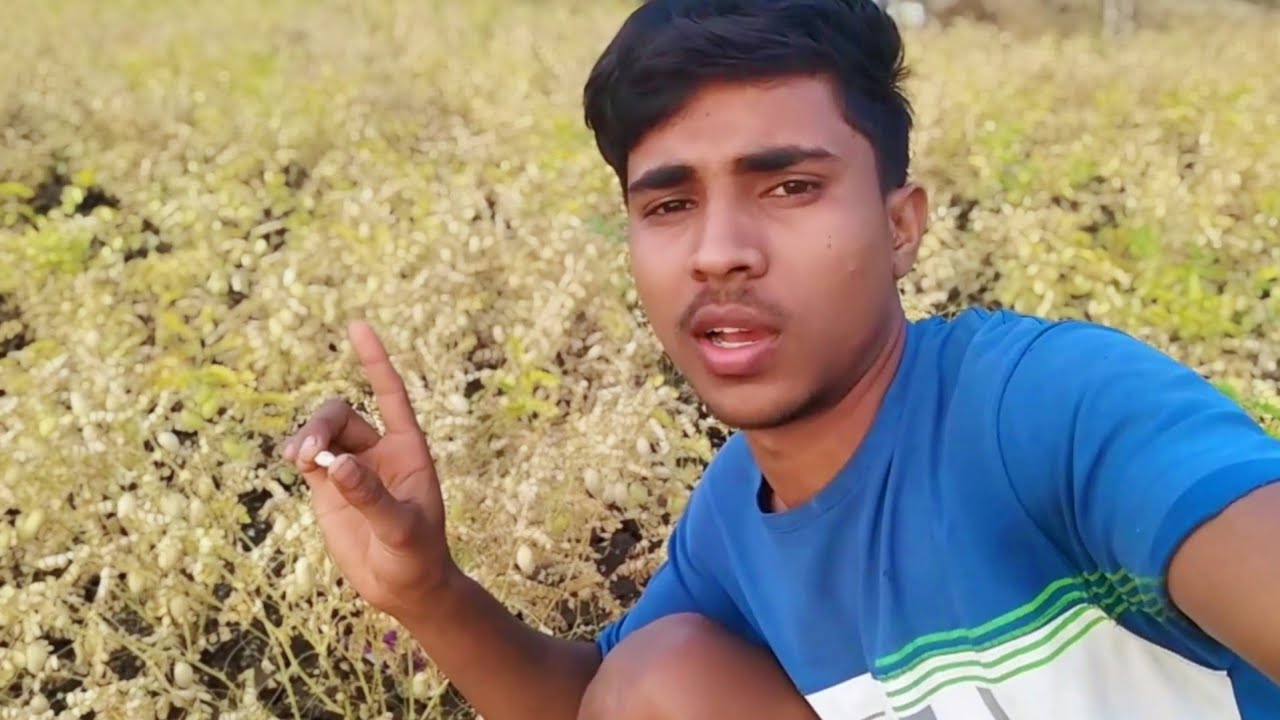 Fasal katai ka time Aagya 😔