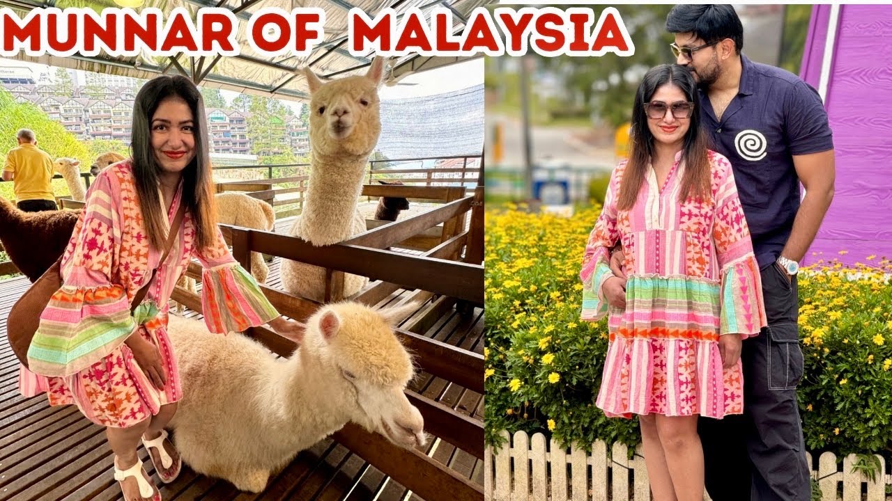 The Best Hill Station in Malaysia | Cameroon Highlands