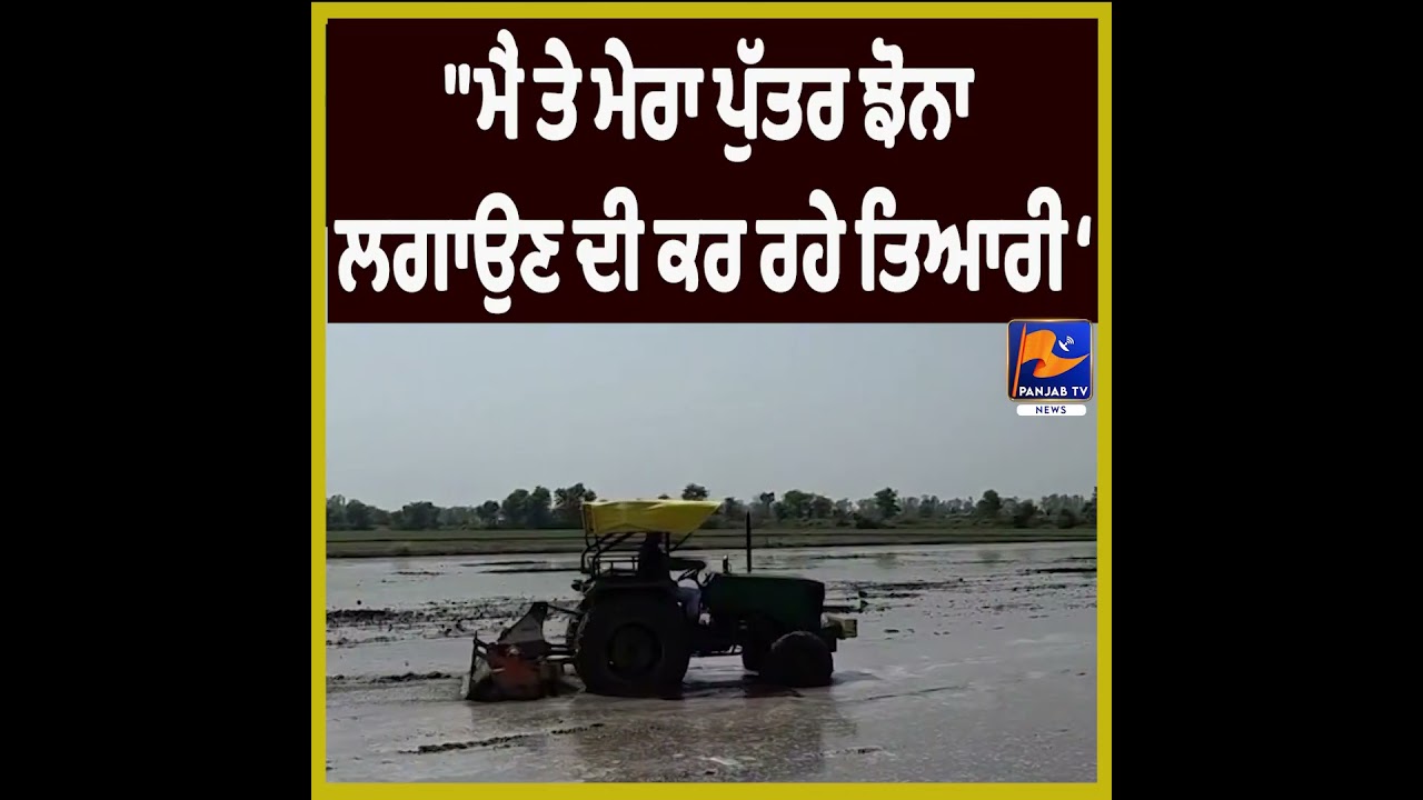 &ldquo;Me and My Son Are Preparing for Paddy Transplantation&rdquo; | Kuldeep Dhaliwal Seen Working in Fields