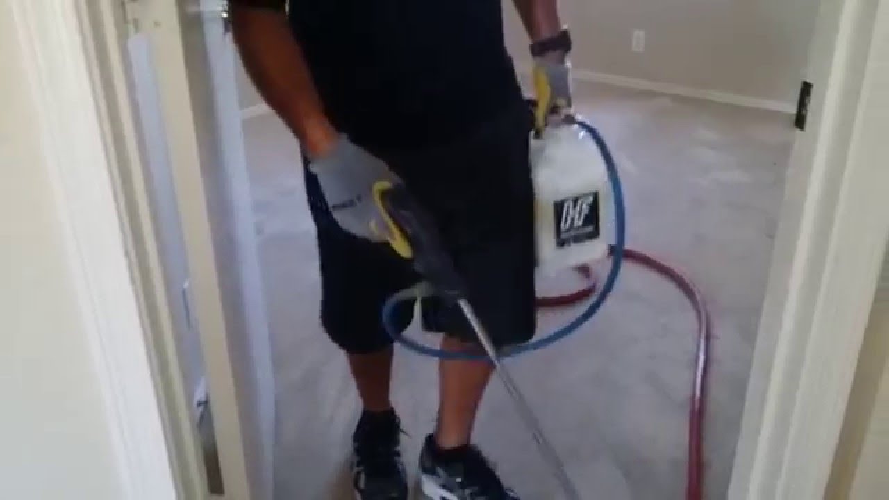 How to professional carpet cleaning dirty carpets