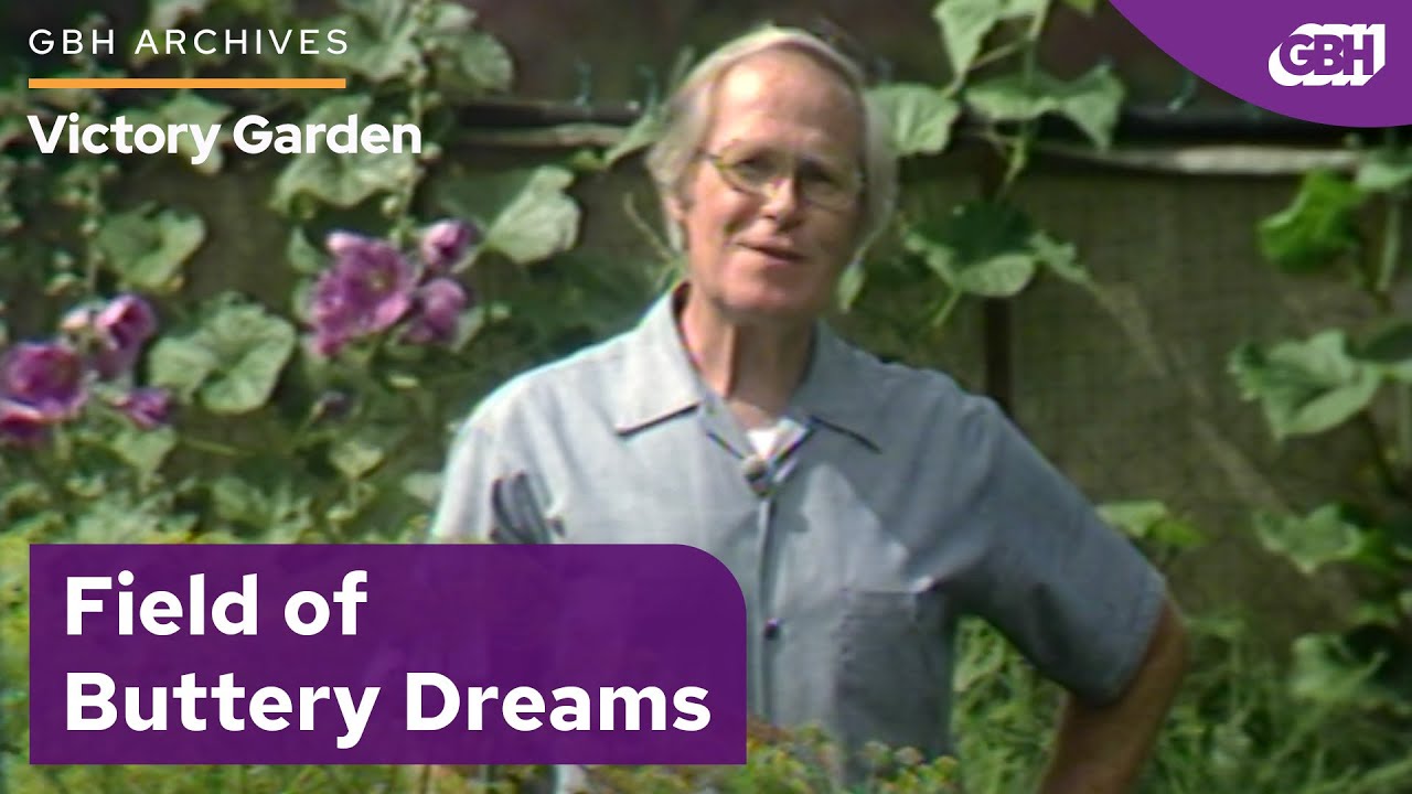 Crockett on the Cob | VICTORY GARDEN