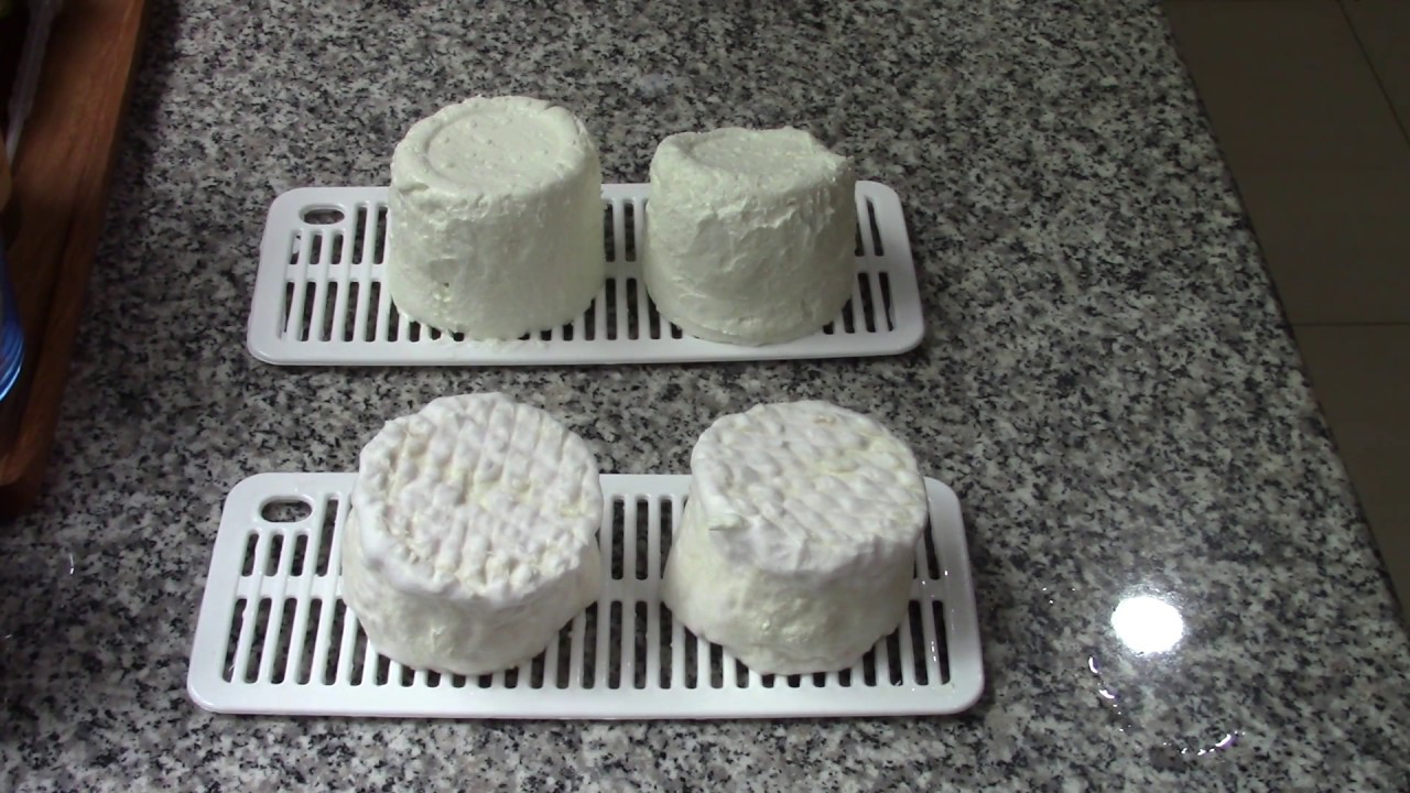 Мой сыр Бриллат Саварен