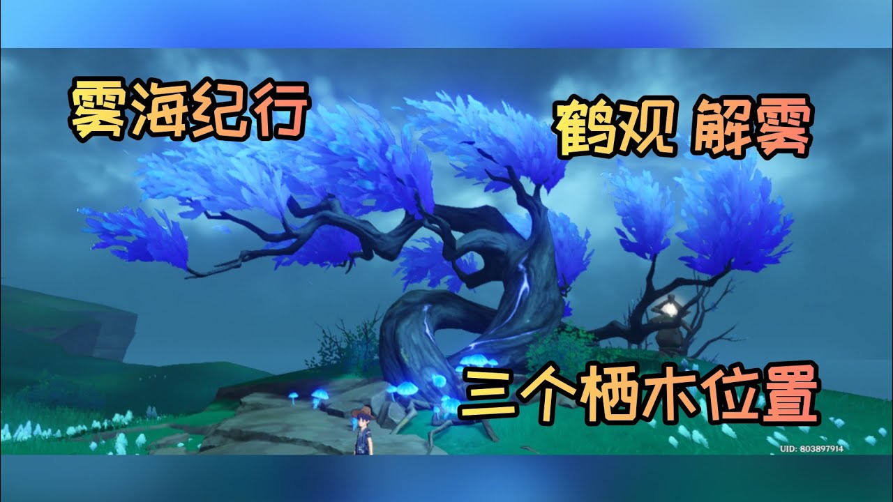 原神 鹤观 雾海纪行 +3个栖木位置  解雾解密