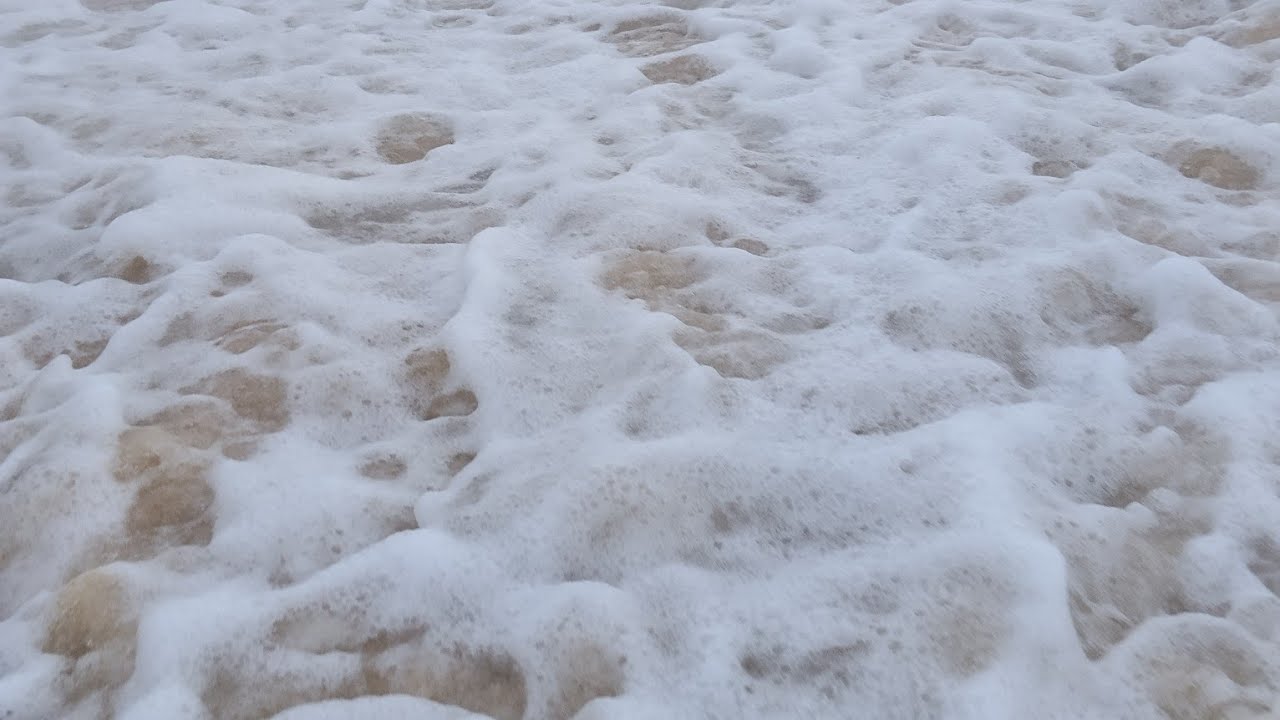 🌊 AMBIENT OCEAN LIVE 16.02.26 🌊