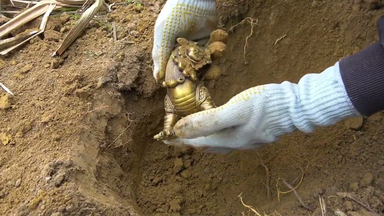 A large treasure buried millions of years underground was found in the wild