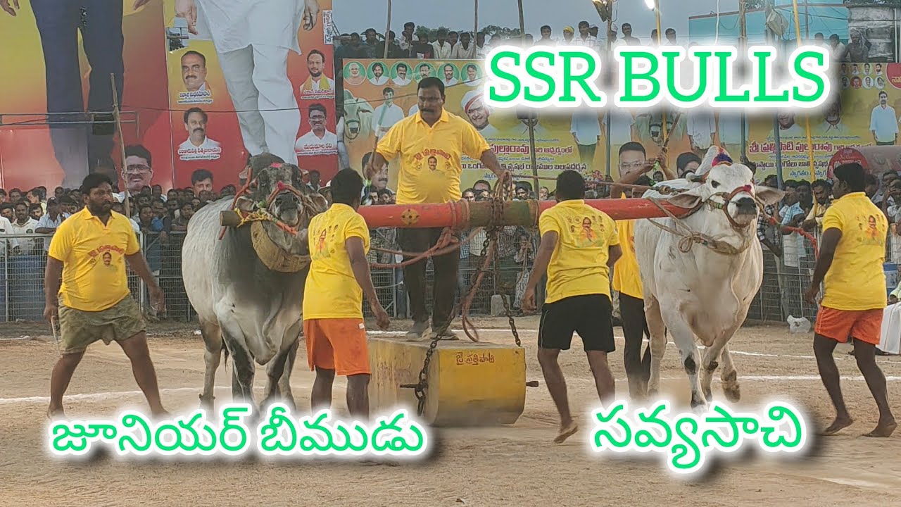చిలకలూరిపేట గ్రామం సీనియర్  విభాగం 10 వ జత SSR BULLS