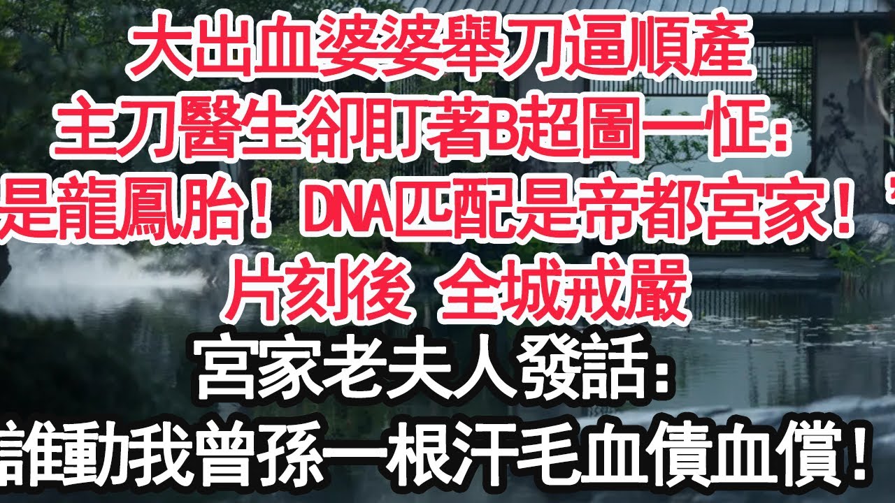 大出血婆婆舉刀逼順產，主刀醫生卻盯著B超圖一怔：“是龍鳳胎！DNA匹配是帝都宮家！” 片刻後 全城戒嚴，宮家老夫人發話：“誰動我曾孫一根汗毛，血債血償！”【顧亞男】【大女主】【婚姻自主】