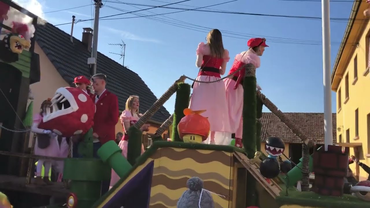 Carnaval de Hilsenheim 2025(Jeu de Mario) (2)