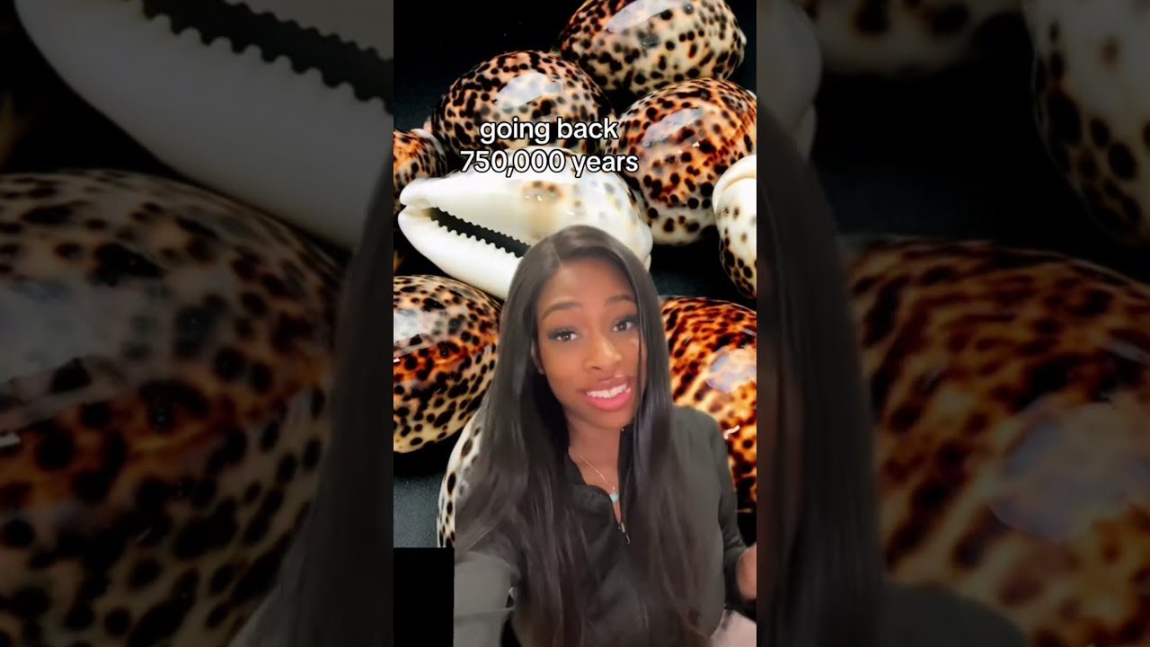 The Spiritual History Of Cowrie Shells