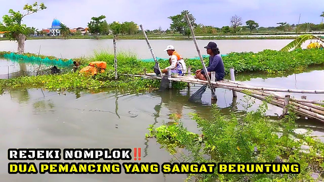TAMBAK JEBOL‼️PEMANCING PANEN IKAN DI SPOT INI #mancing #fishing