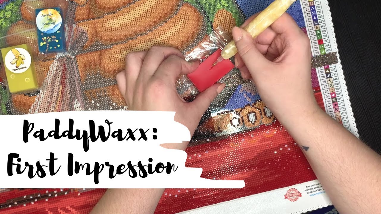 PaddyWaxx: First Impression and Demo!