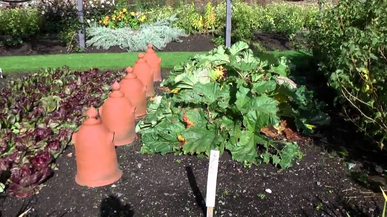 Inverewe Garden - bunter Garten in den schottischen Highlands