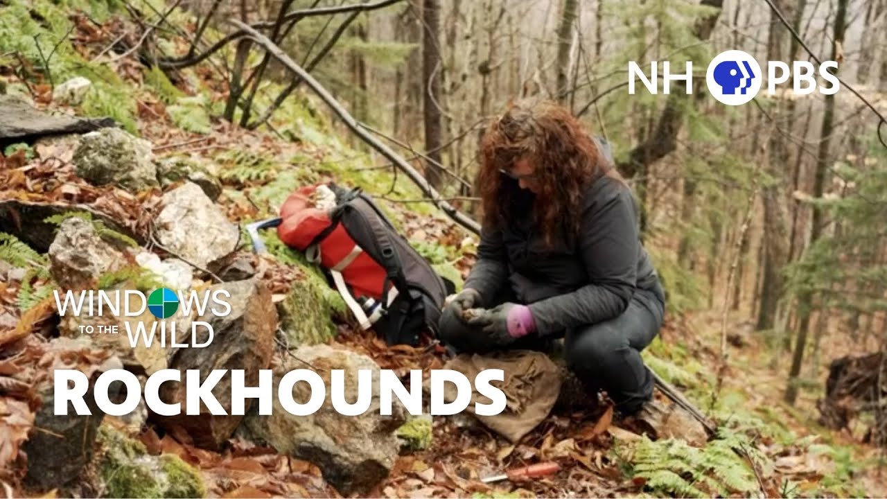 Rockhounds - Windows to the Wild