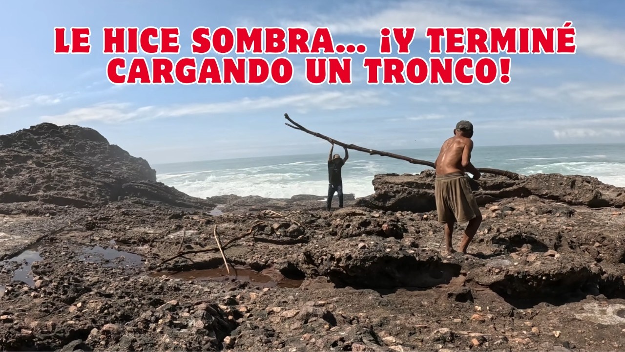 Fui a Ponerle Sombra al Patio del Tío Adrián… ¡Y Terminé Cargando un Tronco para la Leña!