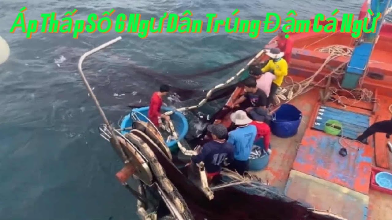 Áp Thấp Số 6 Ngư Dân Daklak Trúng Đậm Loán Cá Ngừ @PhuYenNghiaTinh 