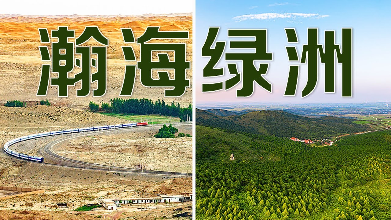在沙漠中修建铁路、飞播造林固沙、高原治沙突破3400米高寒禁区......中国人在治沙中是怎样创造一个个奇迹的？| LIVE NOW