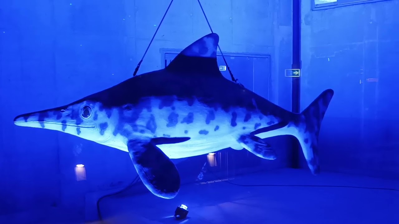 Icthyosaurus:Biod&oacute;m!