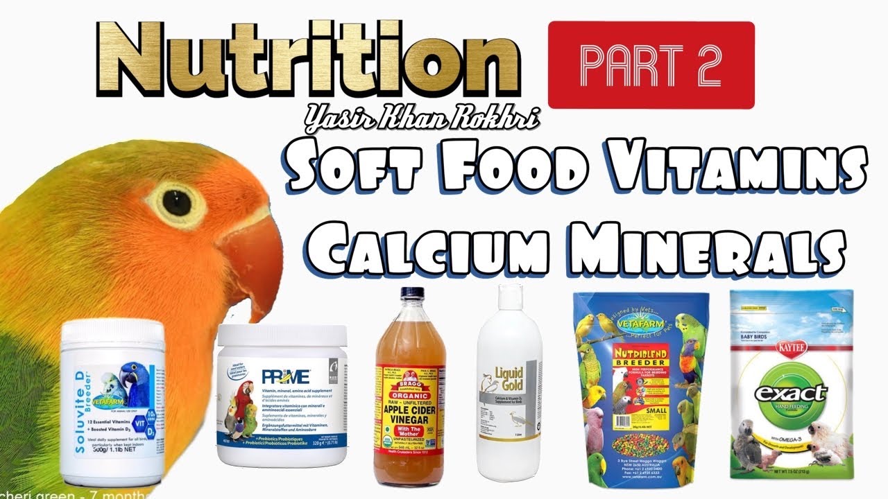Nutrition of Lovebirds Part 2 | Soft Food, Vitamins, Calcium & Minerals.