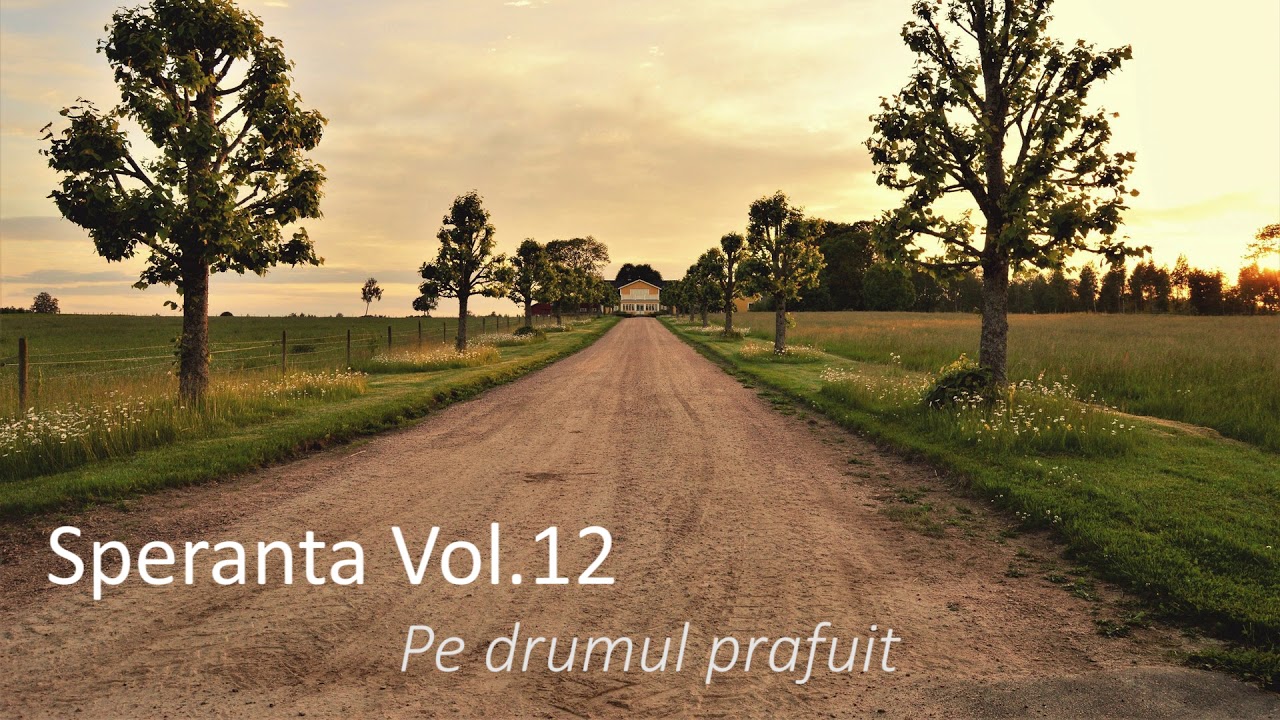 Speranta - Pe drumul prafuit - Marius Gorcea