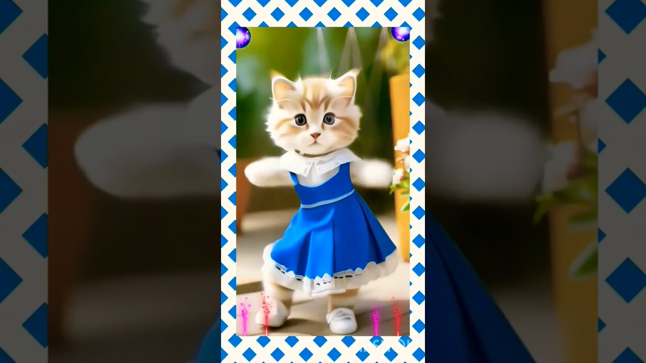 Hansi rok ke dikhao😄😀😃#cattin#funny#cutecat