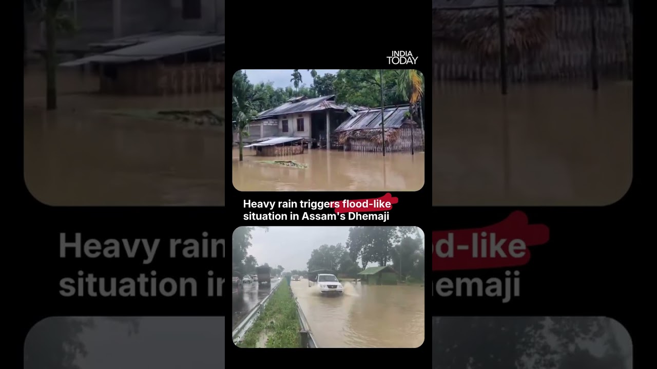 Assam News: Flood-Like Situation In Assam's Dhemaji After Relentless Rain #assam #rain #weather