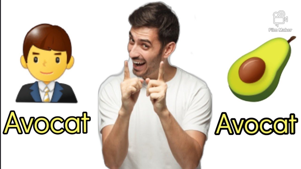 apprendre les homonymes parfaits en français facilement