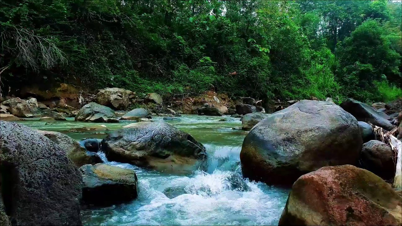 Tranquil River Sounds for Meditation and Focus &ndash; 12H Flow