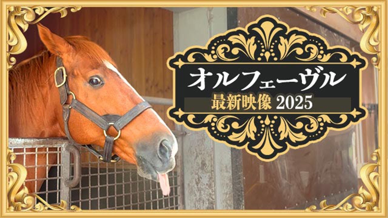 【ステゴ一族オルフェーヴル】社台スタリオンSで種牡馬として活躍する“金色の暴君”の今