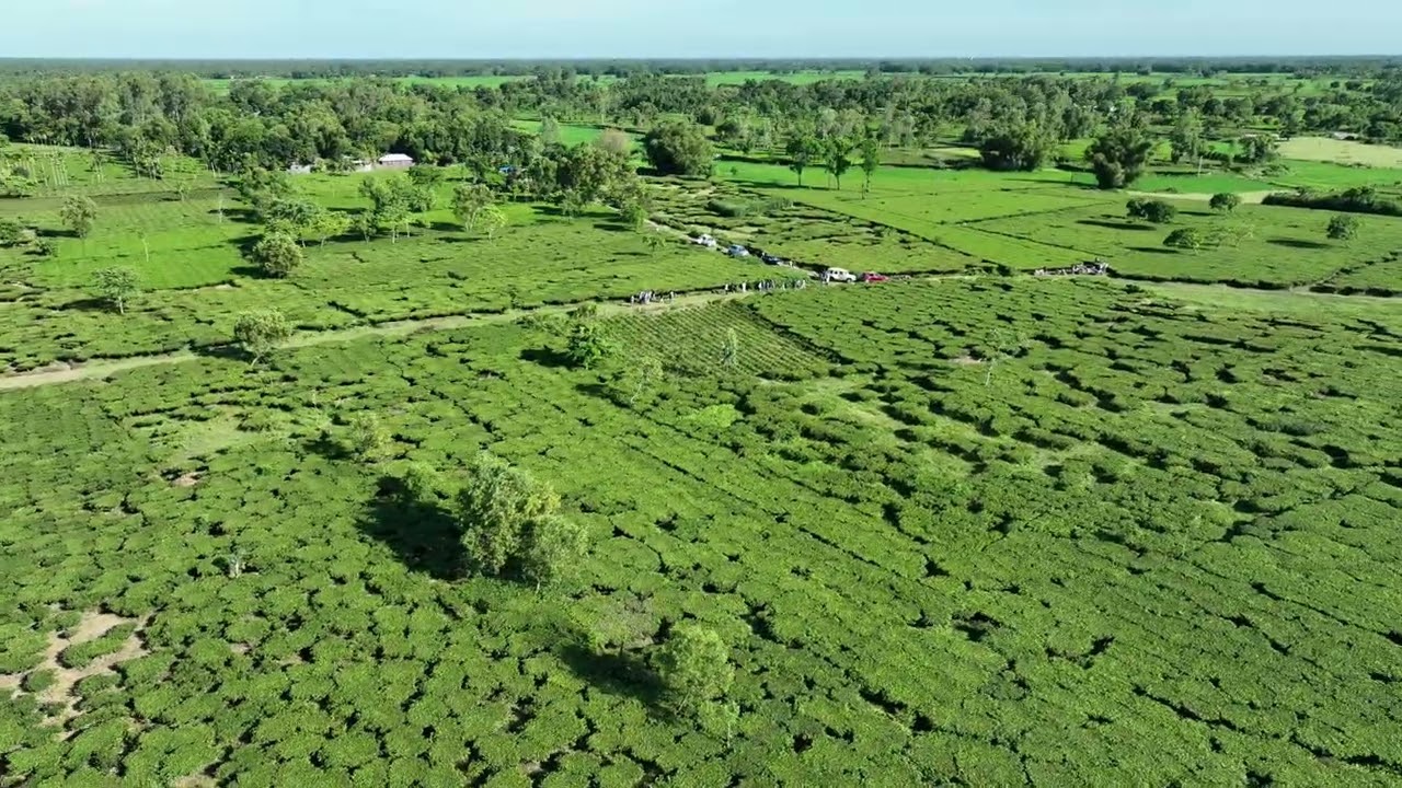 MYZ Group 720 Acre Agro-Infra Project B