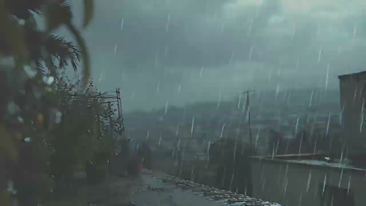 Rain with Distant Thunder | Relaxing Storm Sounds for Sleep & Stress Relief