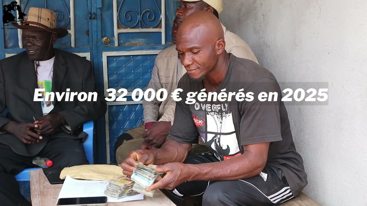 Nouvelles de la Wild Chimpanzee Foundation Guinée - l’apiculture durable