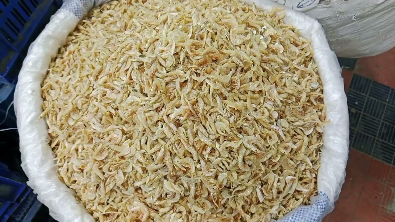 কক্সবাজারের শুটকি || Dried Fish From Cox's Bazar || #driedfish #viral #viralvideo #youtube 