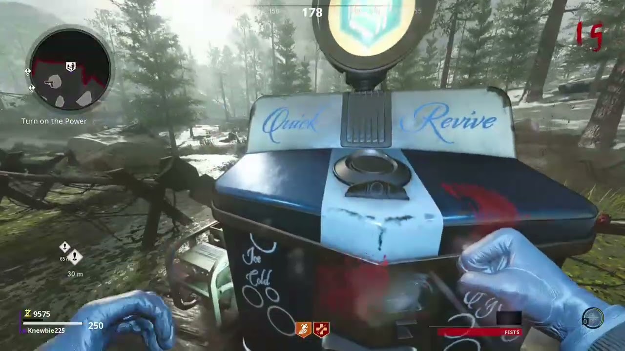 Highlight: How far can i get in cold war zombies with only my fists?