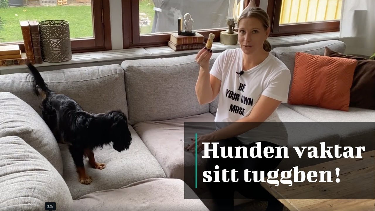 När hunden vaktar sitt tuggben eller leksak