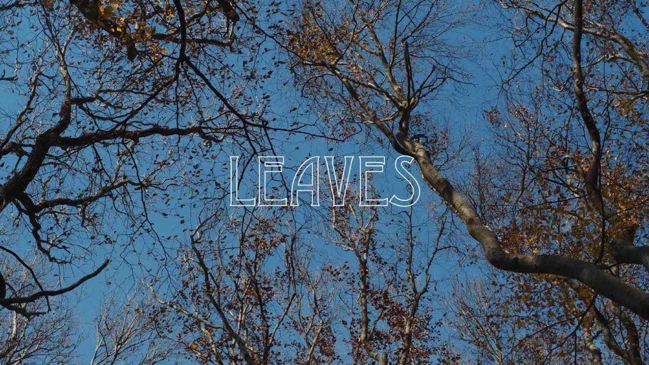 Weixler & Tichy - Leaves (Official Video)