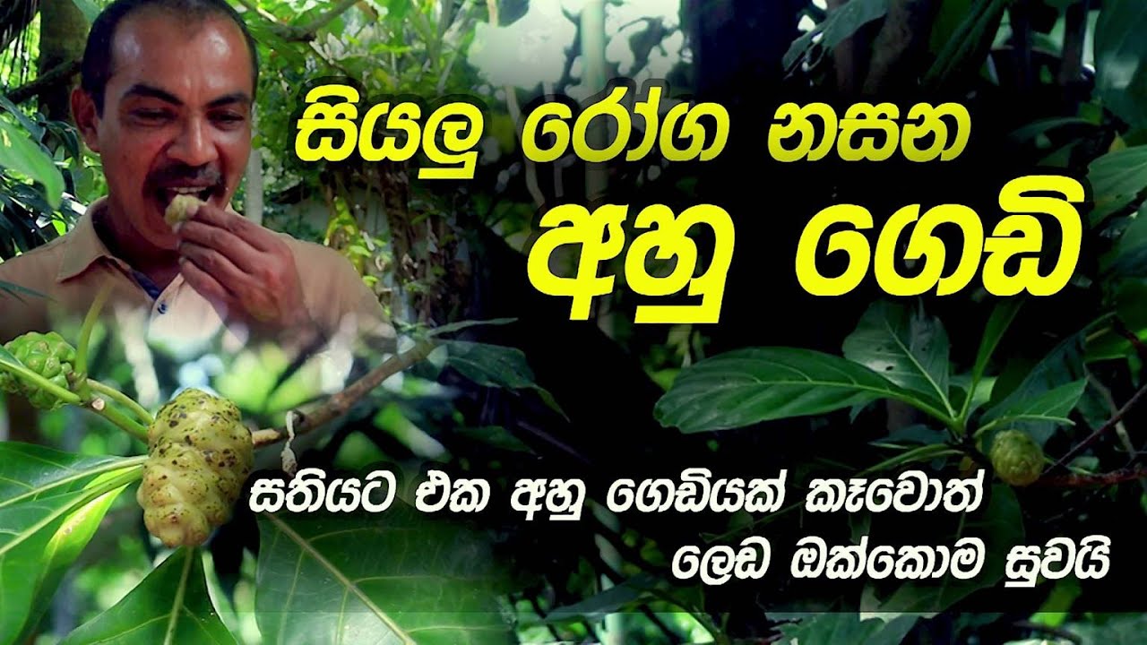 සතියකට එක අහු ගෙඩියක් කෑවොත් ලෙඩ ඔක්කොම සුවයි