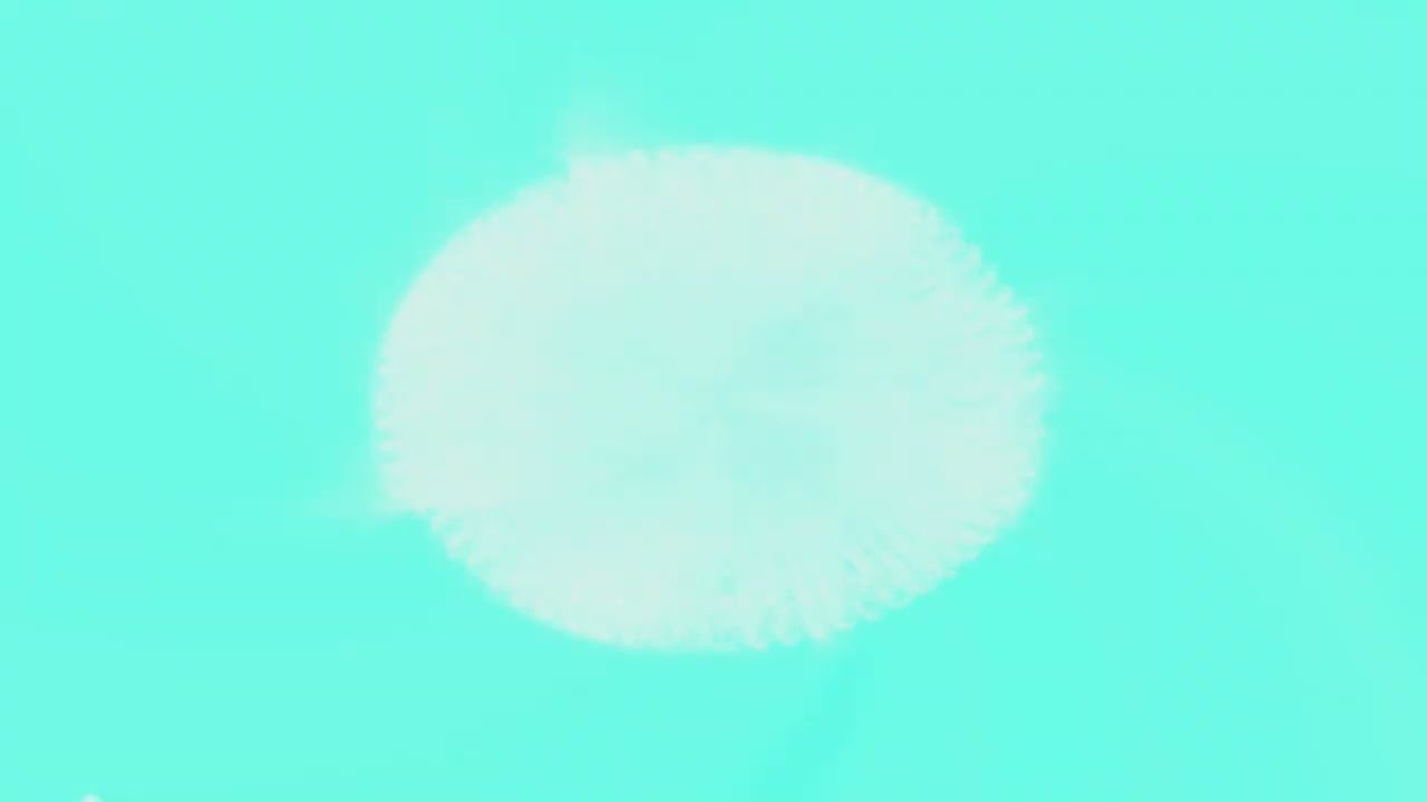 Max Graham - Clubtools [SETRIP]
