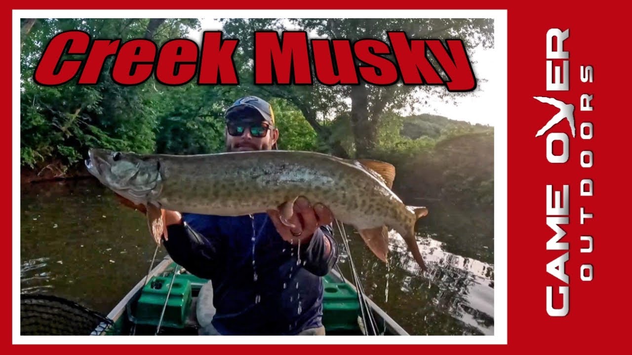 Finesse Musky Fishing - Winning The Creek Battle