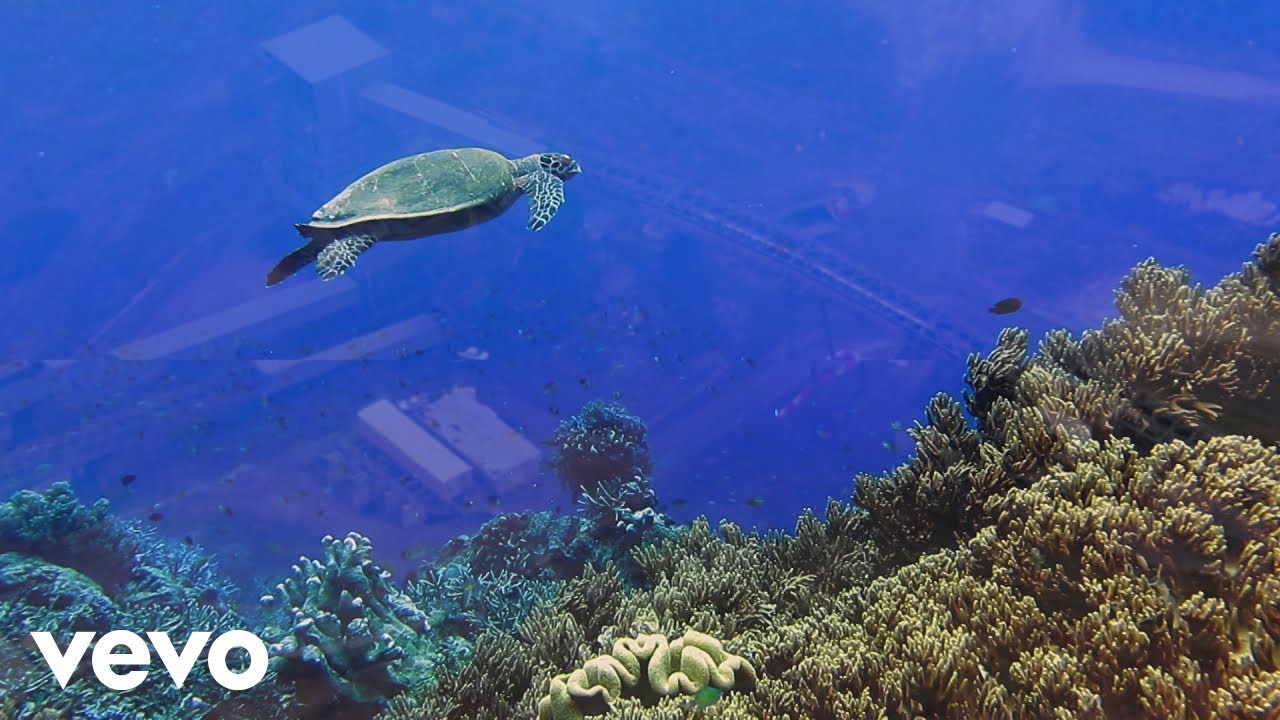 Midnight Oil - Reef (Visualiser)