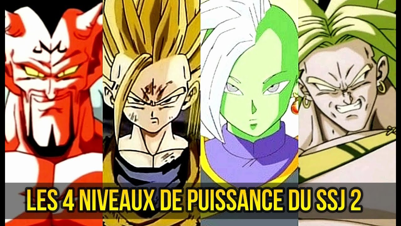 LES 4 NIVEAUX DE PUISSANCE du SSJ 2