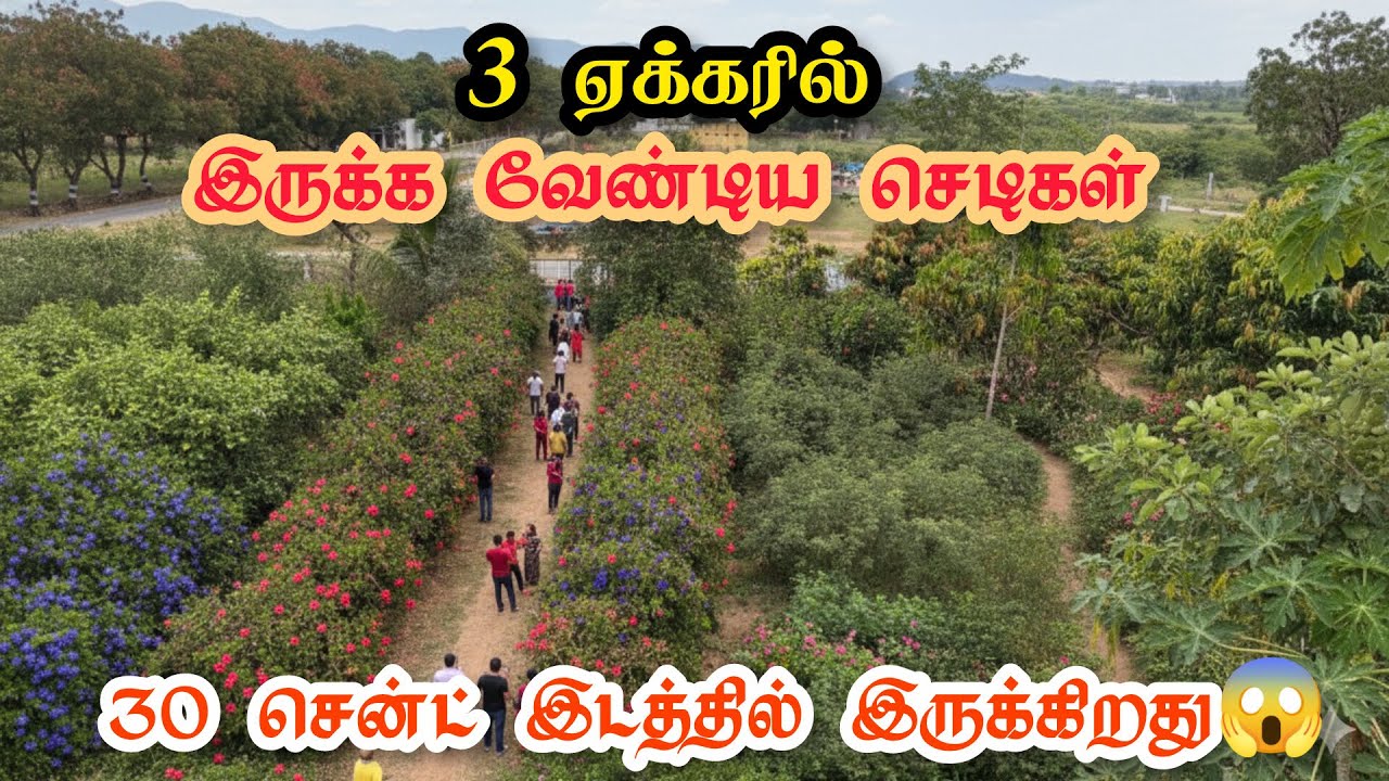3 ஏக்கரில் இருக்க வேண்டிய செடிகள் 30 சென்ட் இடத்தில் இருக்கிறது | vivasaya nanban 