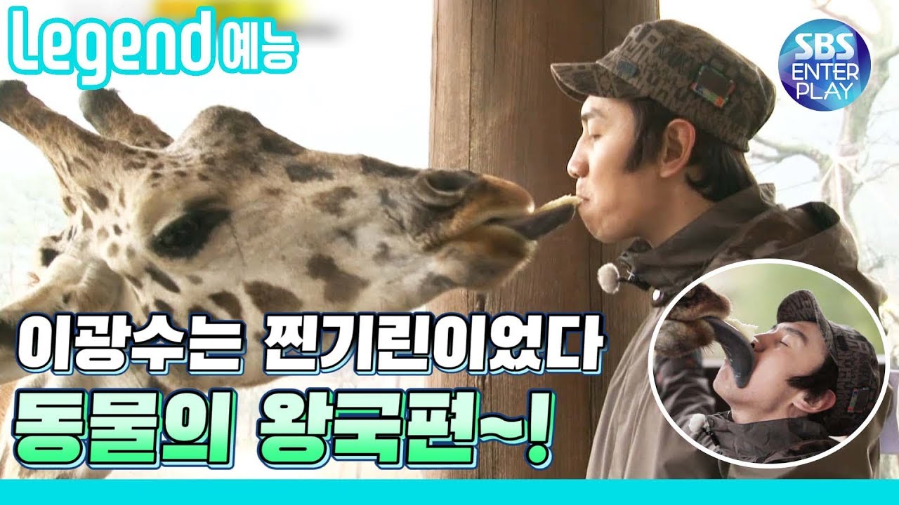 [Legend 예능] 런닝맨 기린이 기린이랑 뽀뽀하는게 뭐 어때서...!!!!? / RunningMan
