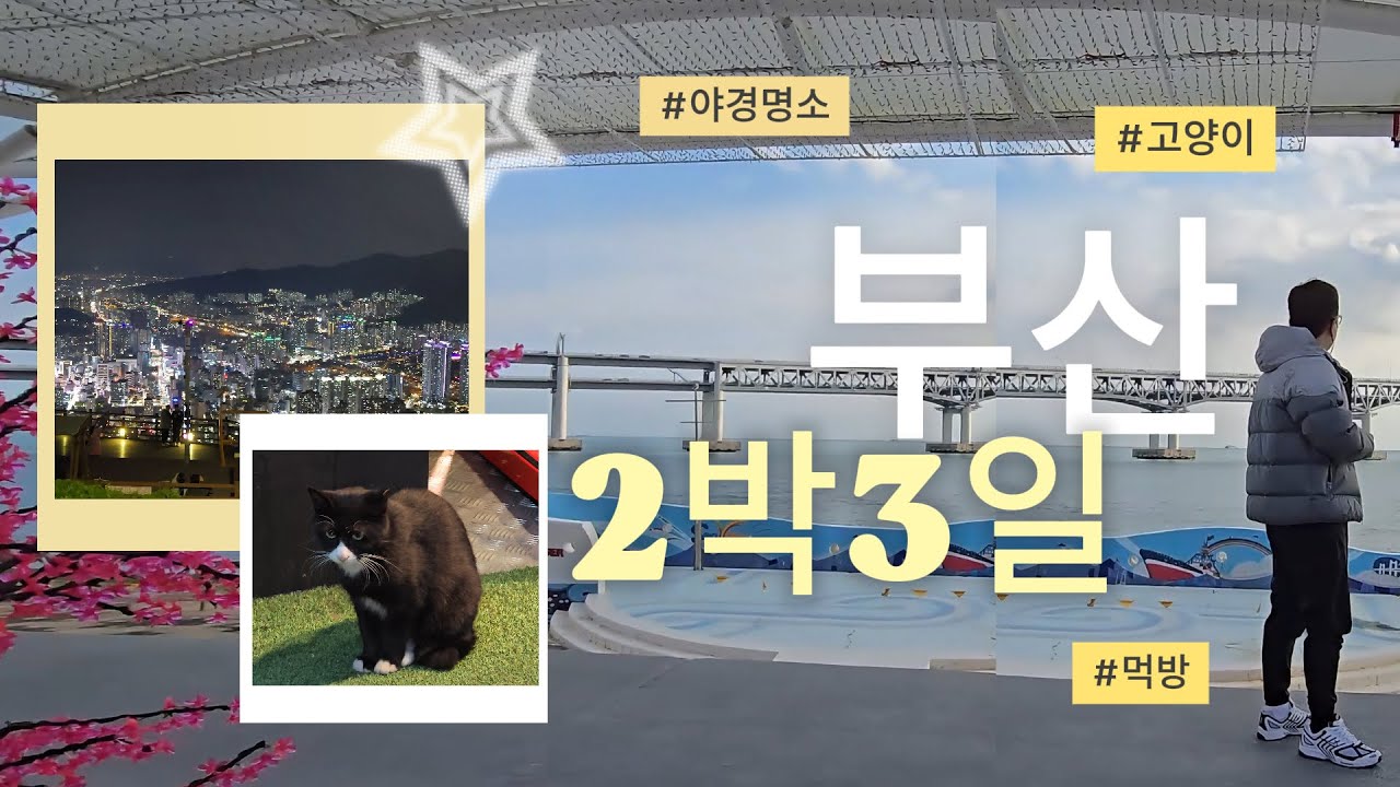 (수정 후 재업) 2박3일 부산여행 #먹방여행 #광안리 #황령산전망대 #우디브룩 #갓덴스시 #폴바셋 #고양이