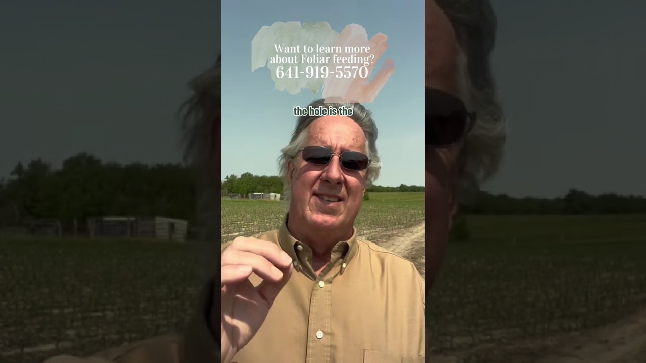 how to maximize foliar feeding
