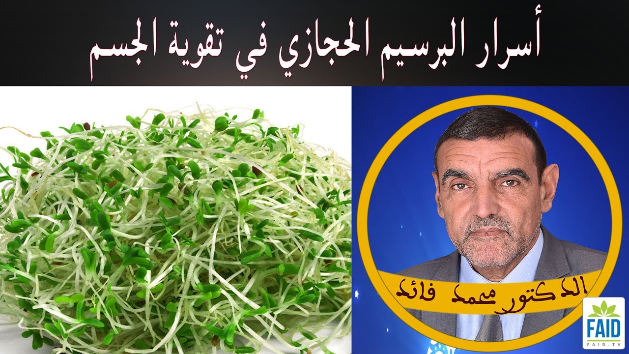 أسرار البرسيم الحجازي في تقوية بنية الجسم | الدكتور الفايد